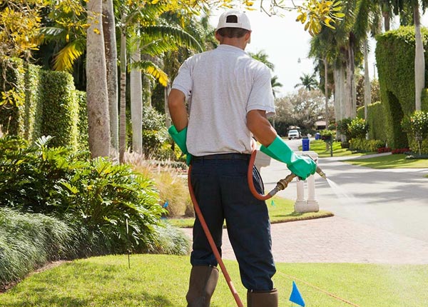 About Brookeville MD Pest Control